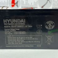 Ắc quy bình phun thuốc HYUNDAI (12v-8ah)