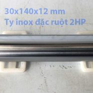 Piston (Ty) inox đặc ruột đầu xịt 2HP (30x140x12 mm)