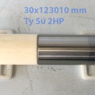 Piston (Ty) sứ trắng đầu xịt 2HP (30x123x10 mm)